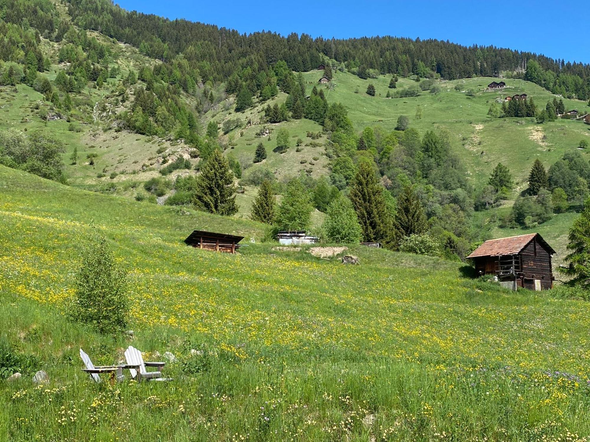 La Cle Des Champs Bed & Breakfast Hérémence Екстериор снимка